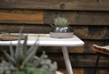 Potted + Dwell on Design